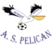 logo Pélican Lambaréné