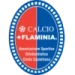 logo Flaminia