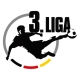 photo 3. Liga